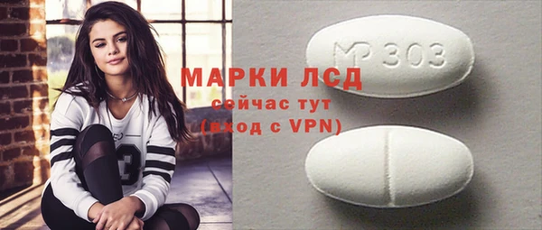 прущий лед Алзамай