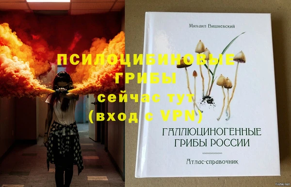 прущий лед Алзамай