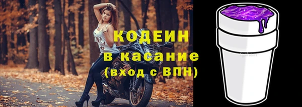 прущий лед Алзамай