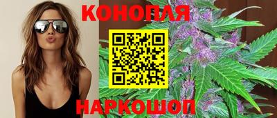 МДПВ Татарск