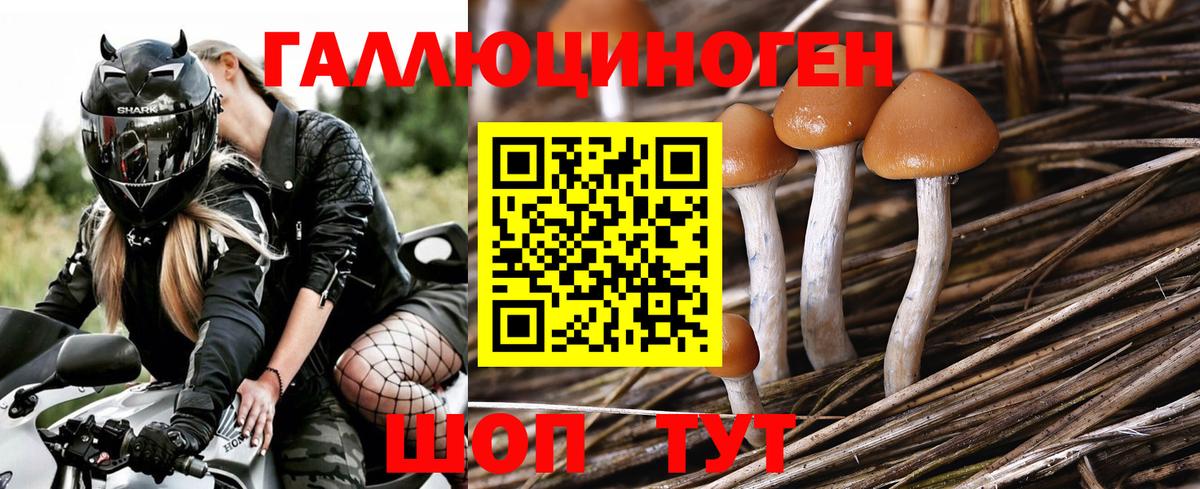 Галлюциногенные грибы Magic Shrooms  Псилоцибиновые грибы мицелий  Электрогорск  Вход с VPN 