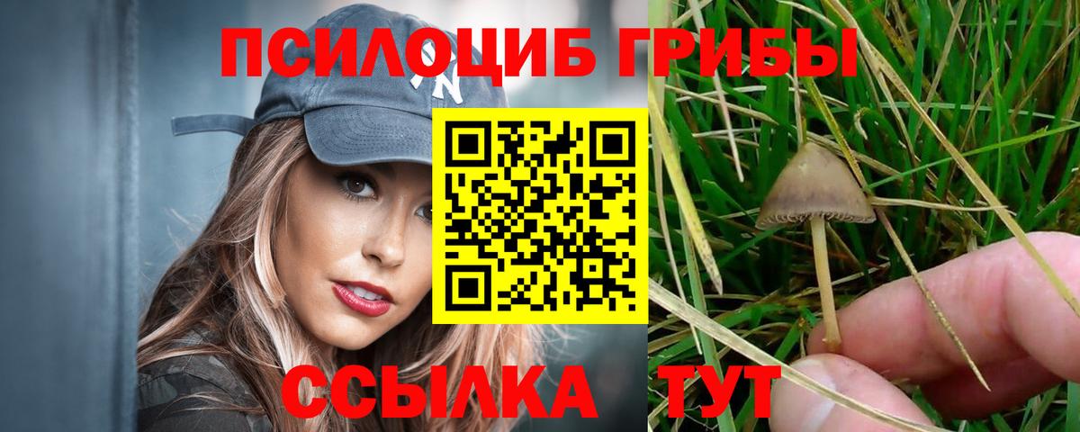 Галлюциногенные грибы Psilocybine cubensis Электрогорск